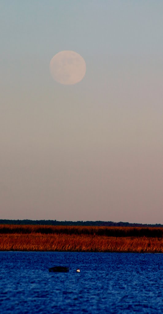 Moon by Stefano gramitto ric…