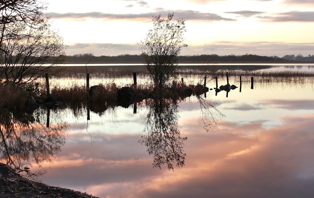 Portaneena, Co. Westmeath, Ireland by talianich