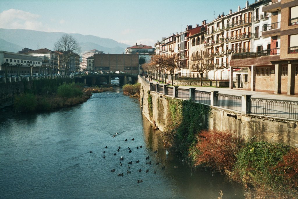 Río Urola. Azpeitia by CeMíguez