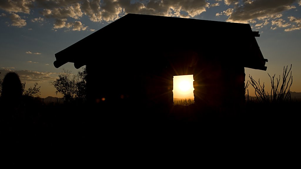 Saguaro NP - Sunset by bopala