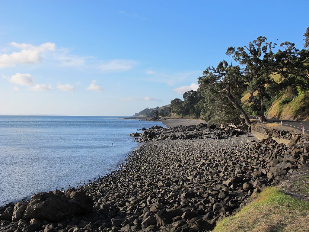 Lonely beach in Coromandel by Kaiser