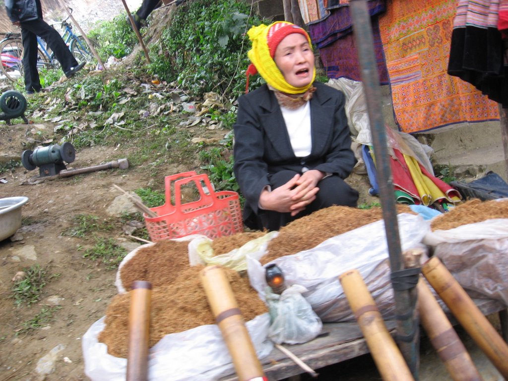 The weekly market at bac ha: tobacco by melanikapusta