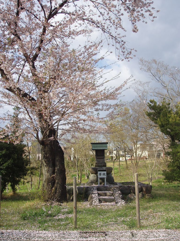 祠（各務原市川島河田町） by Aki linda