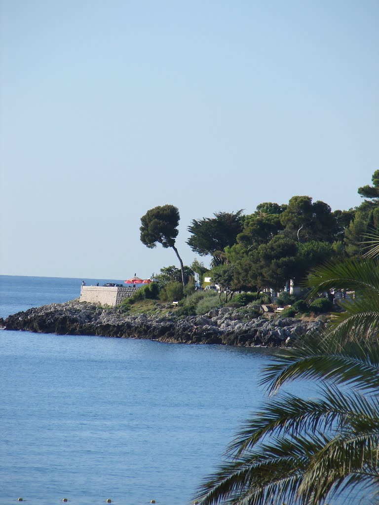 Roquebrune, le Cap Martin by michel2947