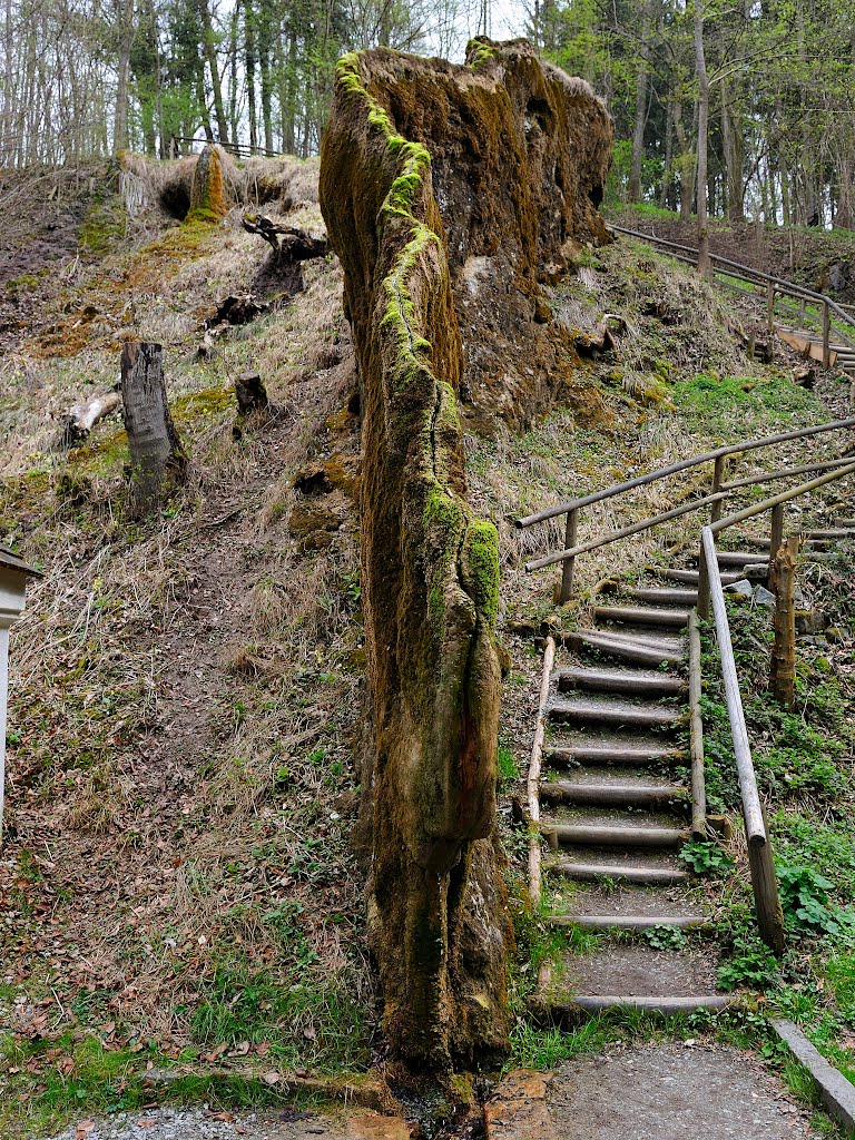 Wachsender Felsen in Usterling by Toni Schröttner