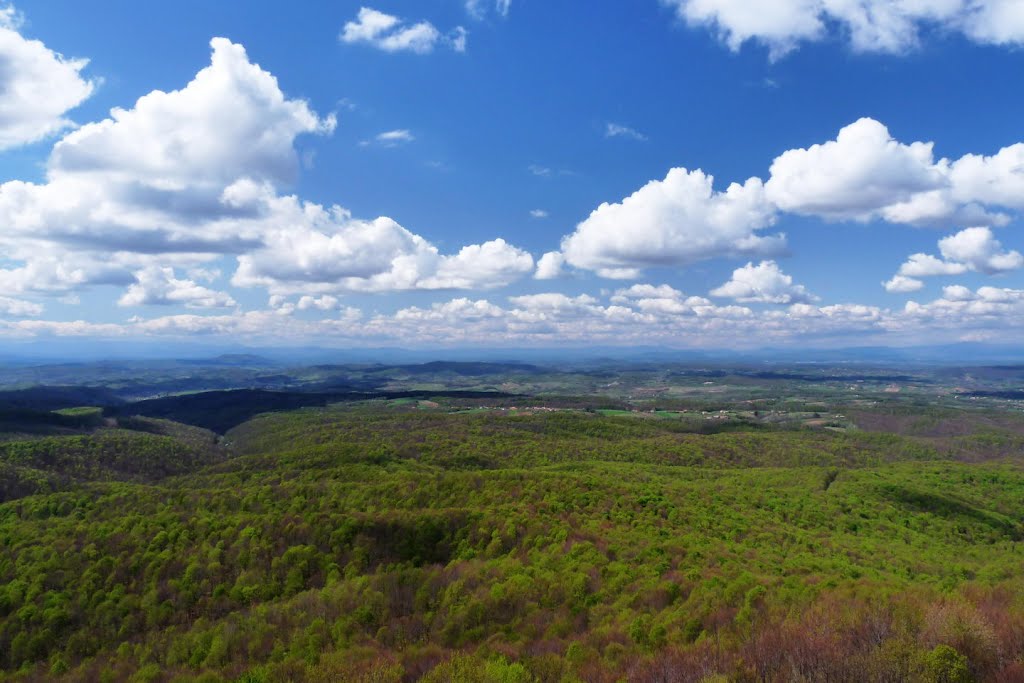 Pogled sa vrha spomenika na Petrovoj Gori by Damir Simunić