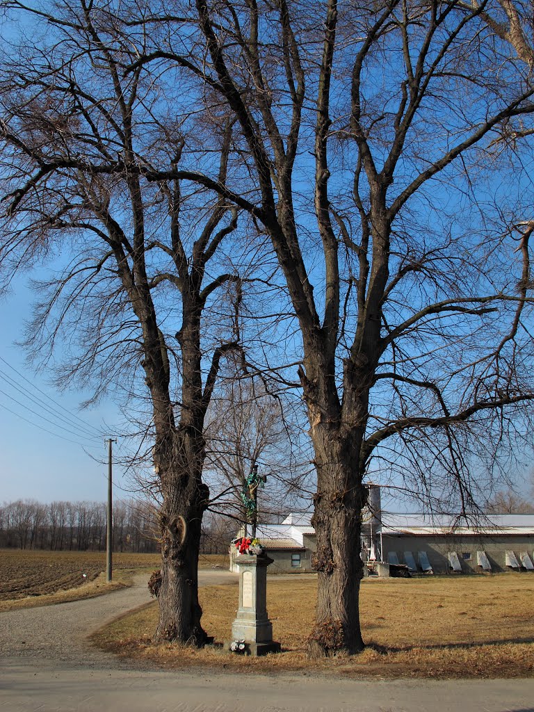 Oldřichov - na cyklostezce " Bečva " do Přerova by Dalimil