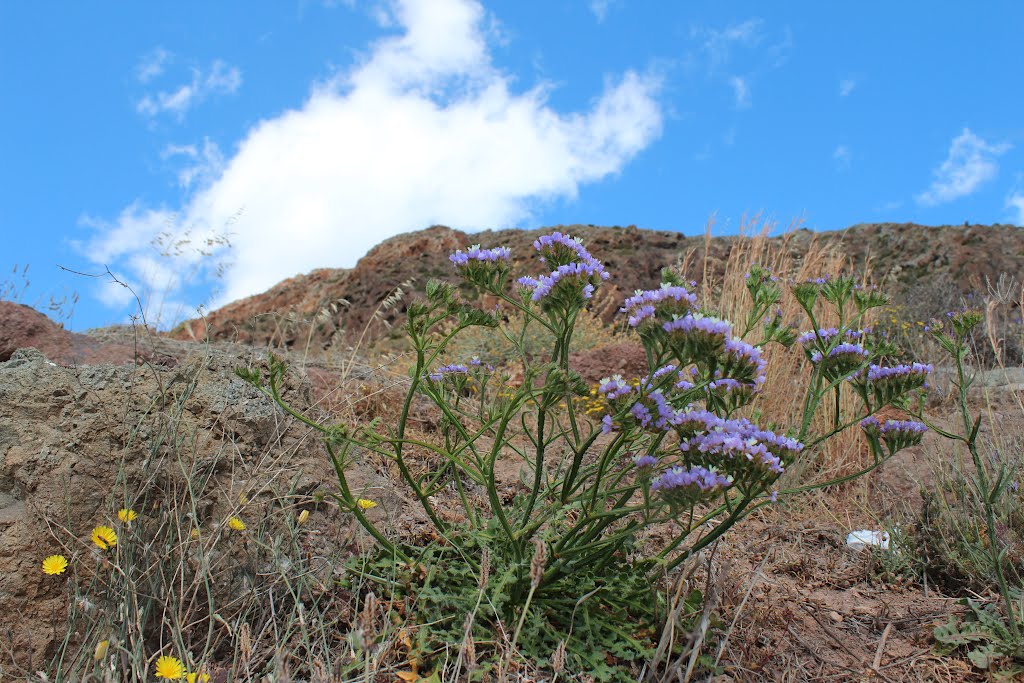 Los Motores, Cabo de Gata by José Angel De la pec…