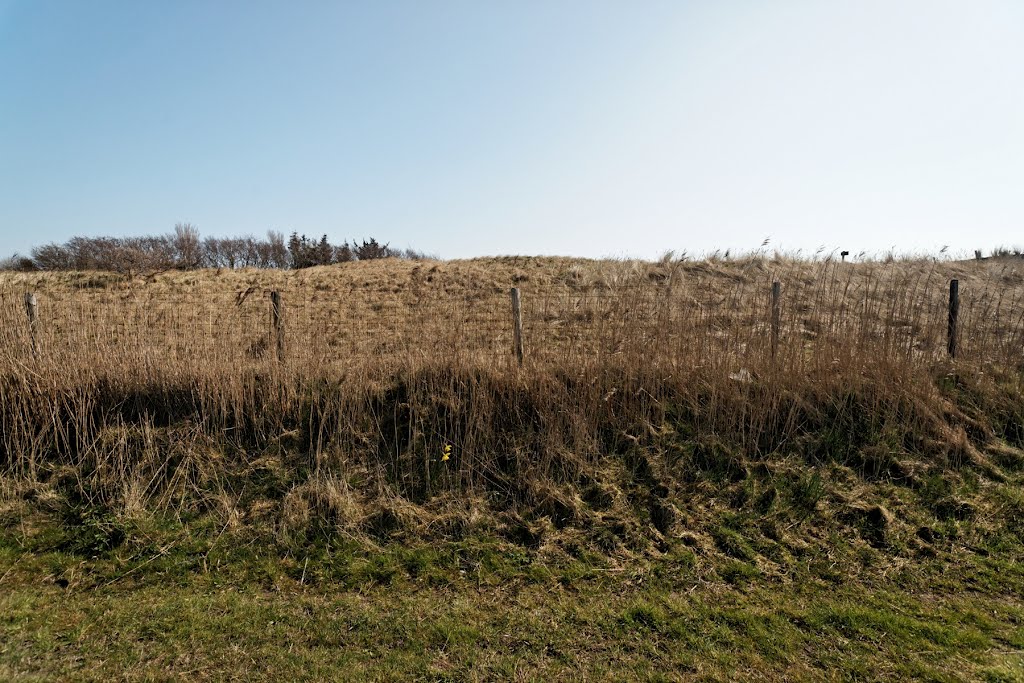 Texel - Den Hoorn - Watermolenweg / Molwerk - View ESE - April 2012 by txllxt TxllxT