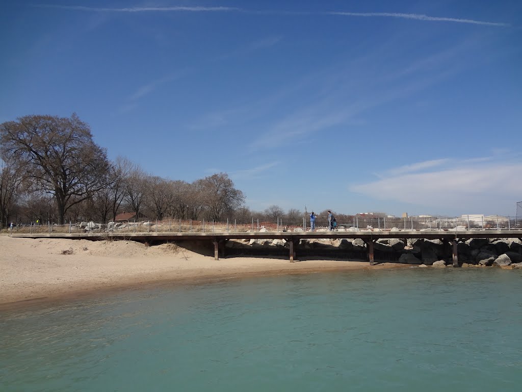 Cook County, IL, USA by Naramssin Tchaba