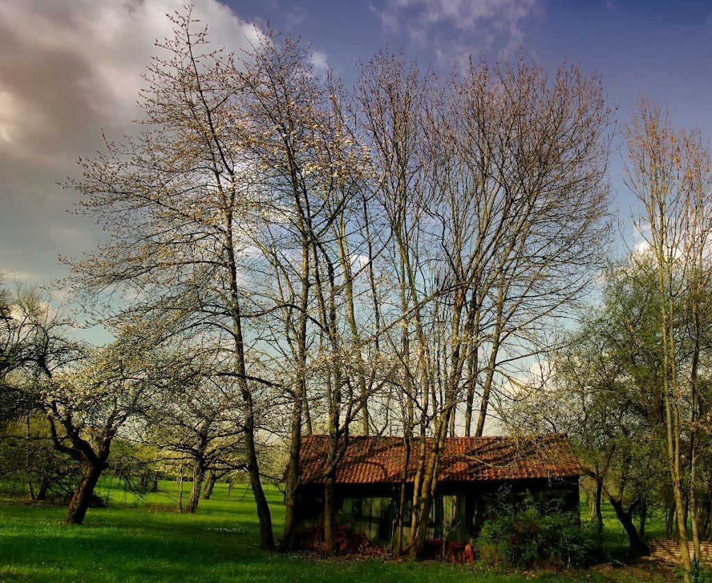 Stammheim by Gregor Koppel