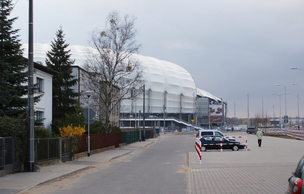 Stadion Lecha by gigman