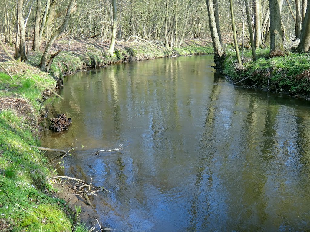 Frühling an der Luhe by rickert-hamburg