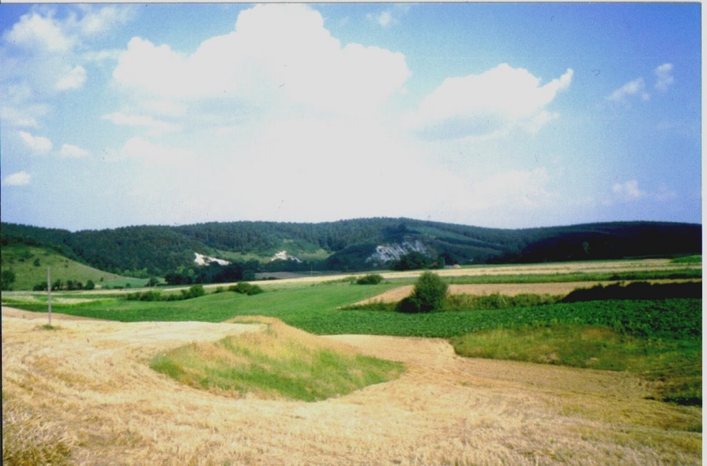 Góry wolskie widok z pola "Adolka" - połowa lat 90 - tych. by w kuszak