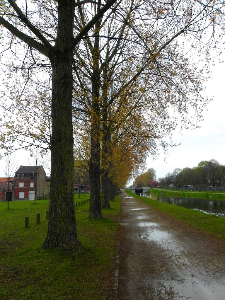 Roubaix - Quai de Brest aux allures automnales - 13/04/2012 by epaulard59