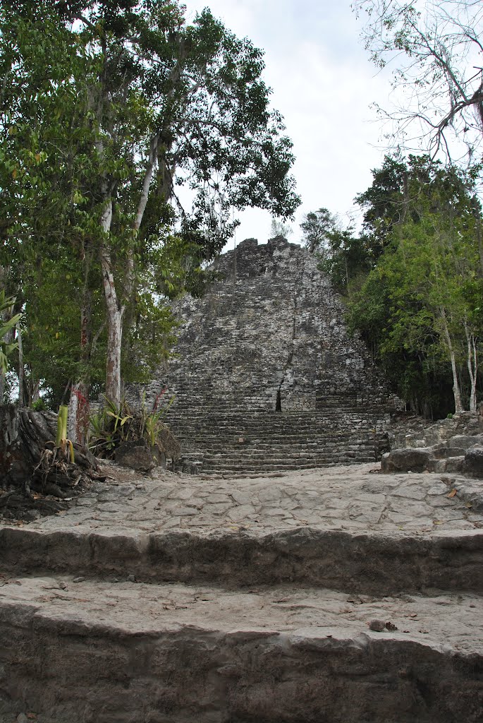 Coba, Mexico by Béla Somlai