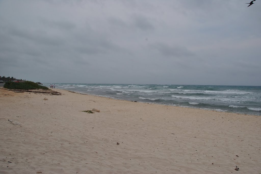 Near Tulum, Riviera Maya, Mexico by Béla Somlai