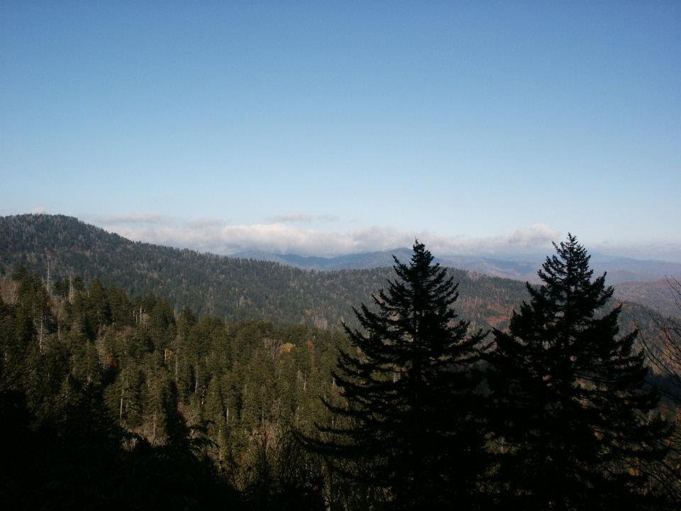 Great Smokey Mountains National Park by Woodland Trekker