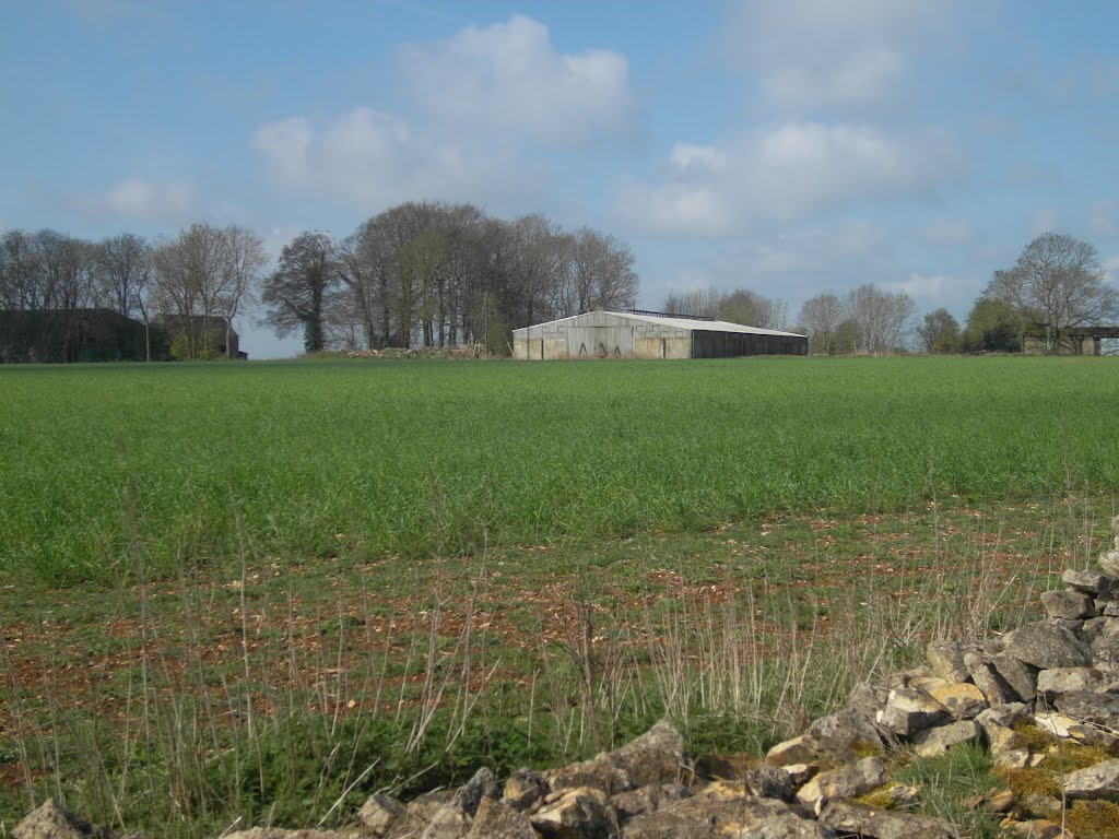 Barn at Nordown Farm by Terry Jacombs