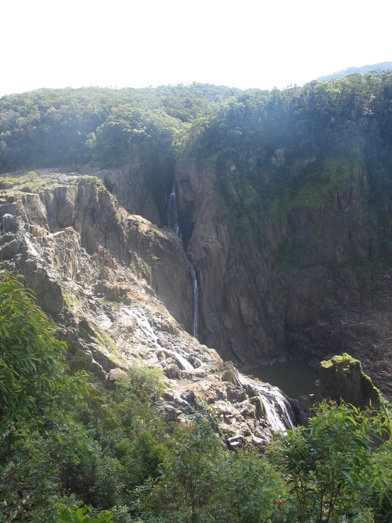 Kuranda QLD 4881, Australia by VladNes