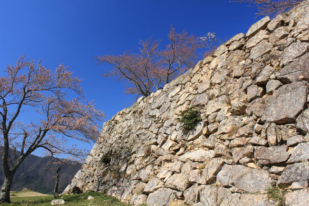 Takeda-jyo Castle（竹田城） by Yuichi Azuma