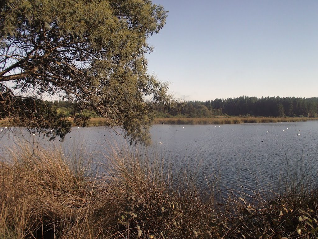 Laguna Torca by humberto vergara