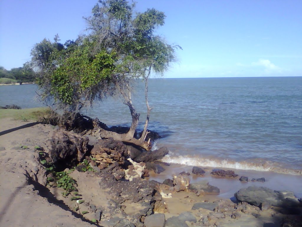 Fundão - State of Espírito Santo, Brazil by João Batista Dornela