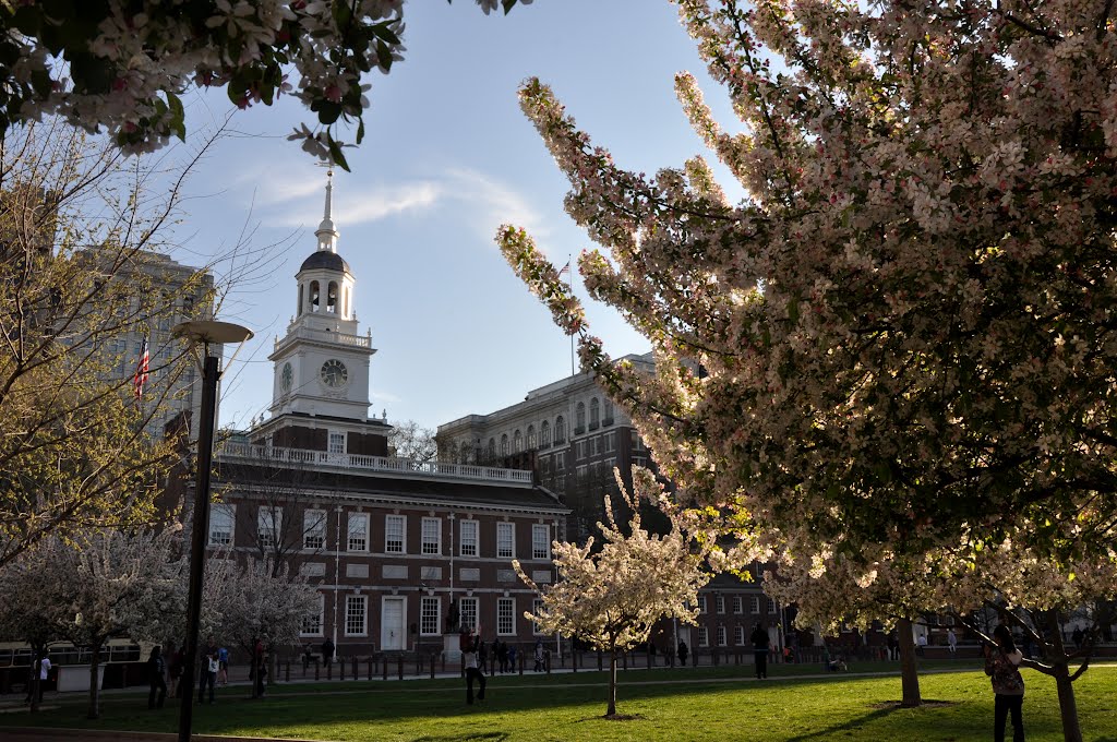 Independence Hall by Andy Dinh