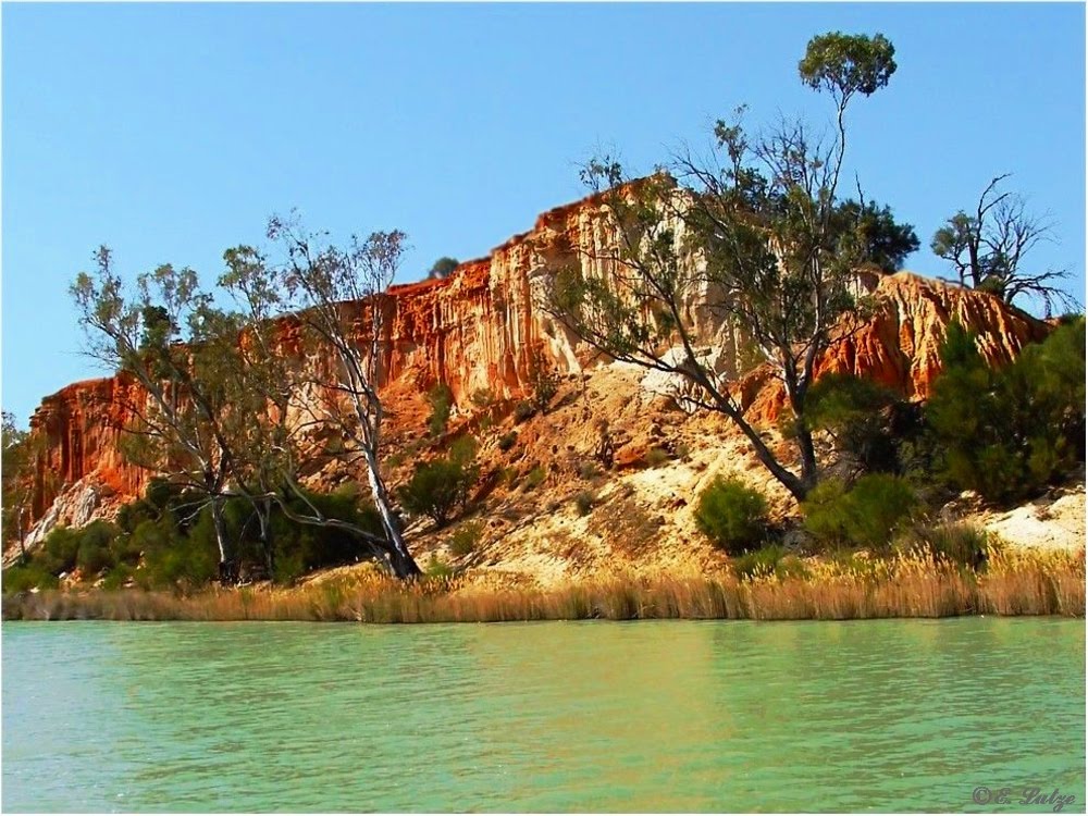 Border Cliffs* near Chowilla Murray River SA by ebi lutze