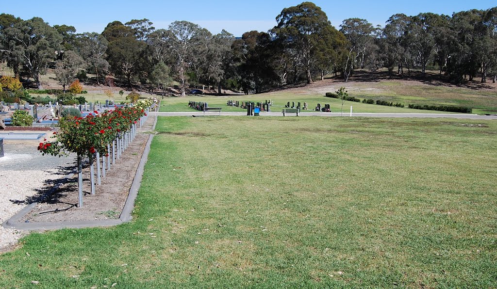 Rose garden margin and unused sites by Phaedrus Fleurieu