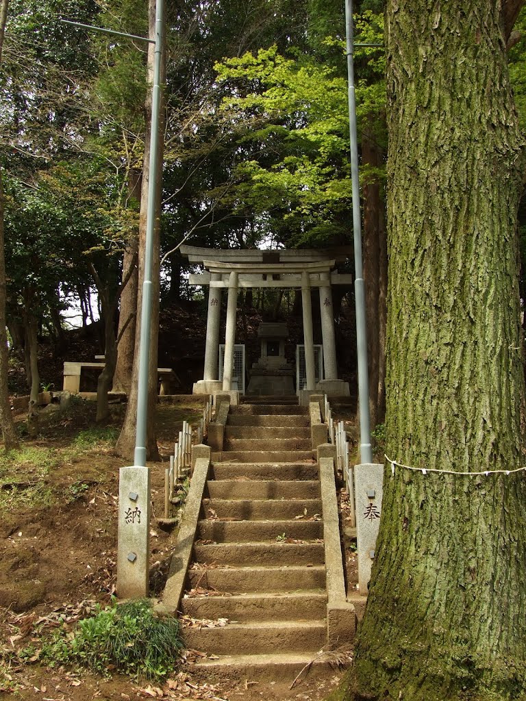 安藤稲荷神社 - 川崎市多摩区菅北浦5丁目 by jogunata