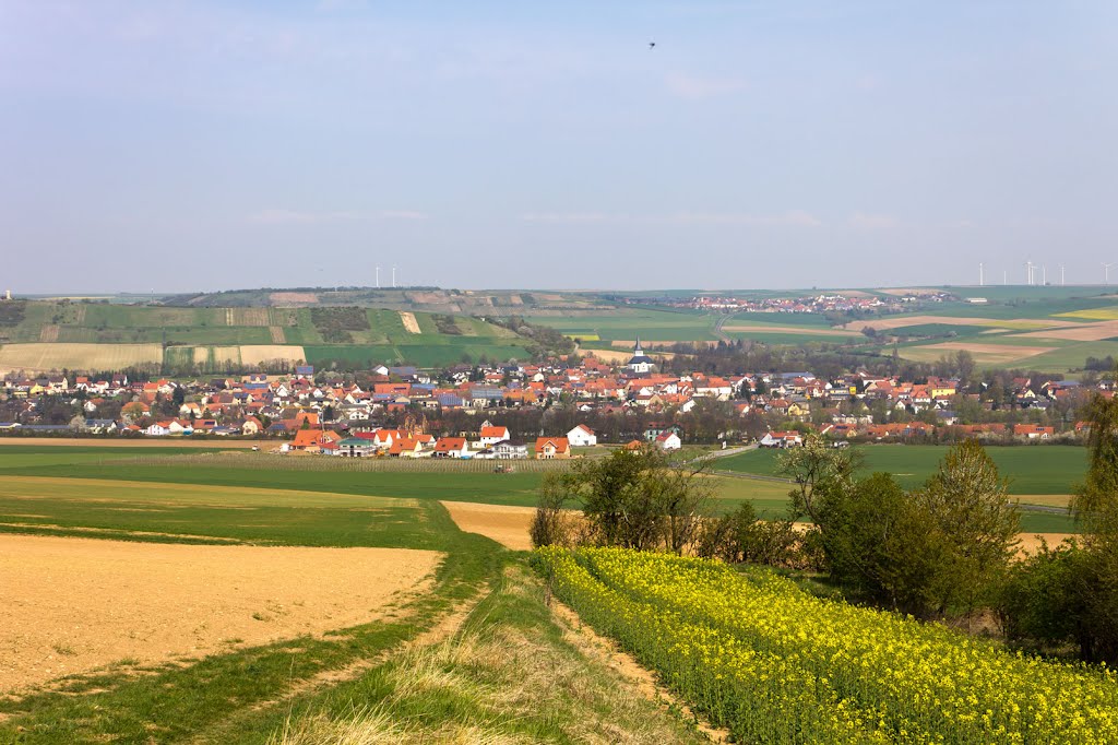 Albisheim by Hans Schulder