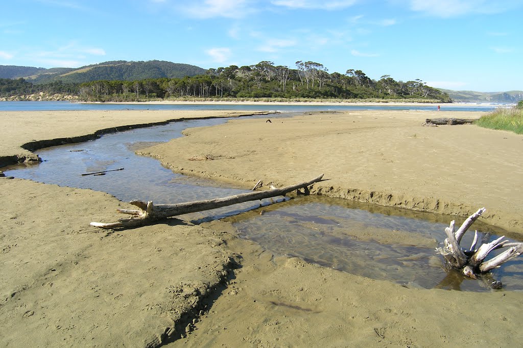 Papatowai, Tahakopa Bay by berlinerstadtbilder