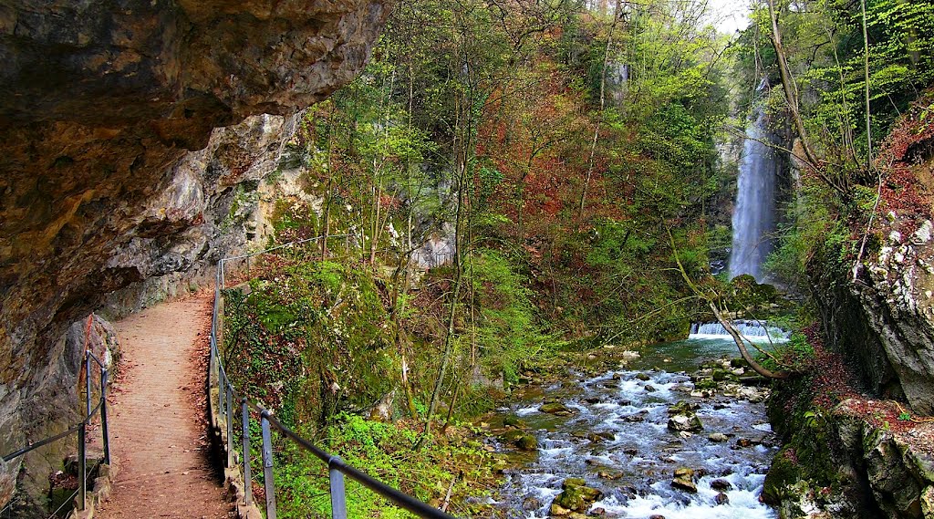 Biel, Taubenlochschlucht, Wasserfall (I) by Wilhelm Tell