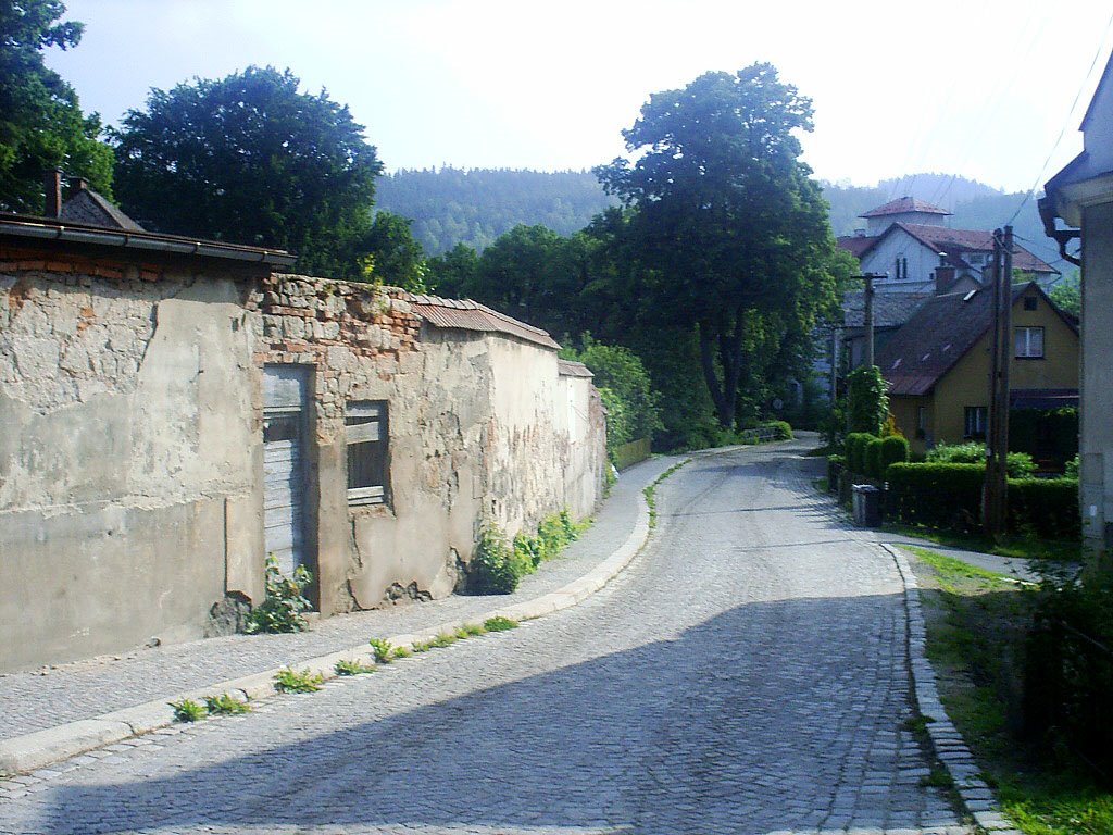 463 42 Hodkovice nad Mohelkou, Czech Republic by Karel Basta