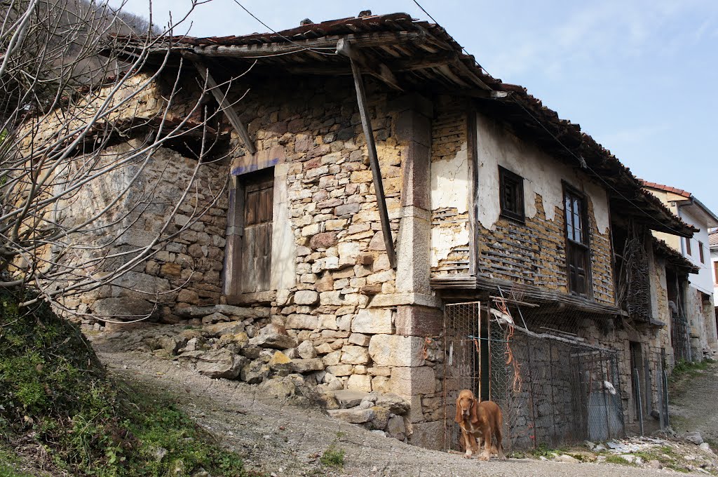 Casina y perru. by La Casa del Chiflón (Bulnes)