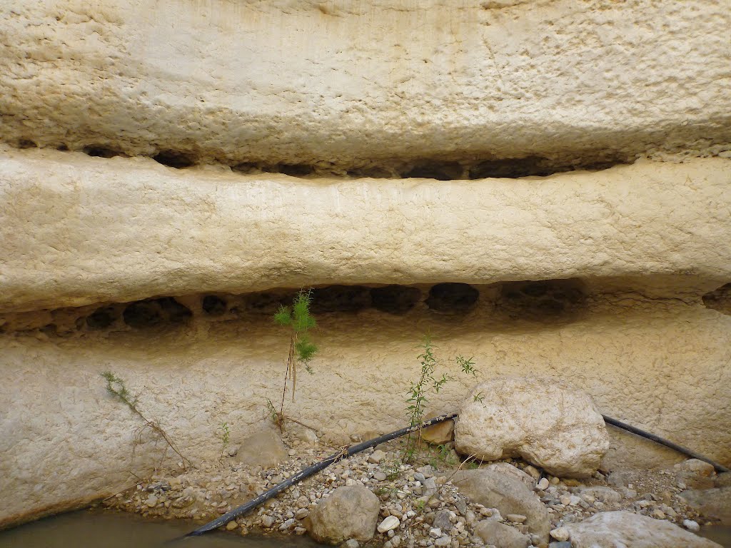 Upper Wadi Hasa 2012 by Wolfgang Streicher (…