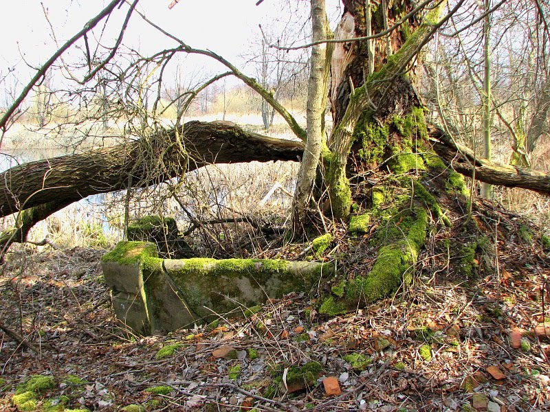 Руины старой немецкой усадьбы/The old German villa's ruins by toshka