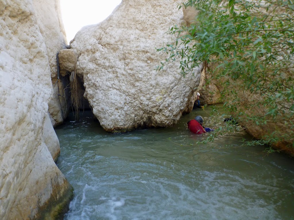 Upper Wadi Hasa 2012 by Wolfgang Streicher (…