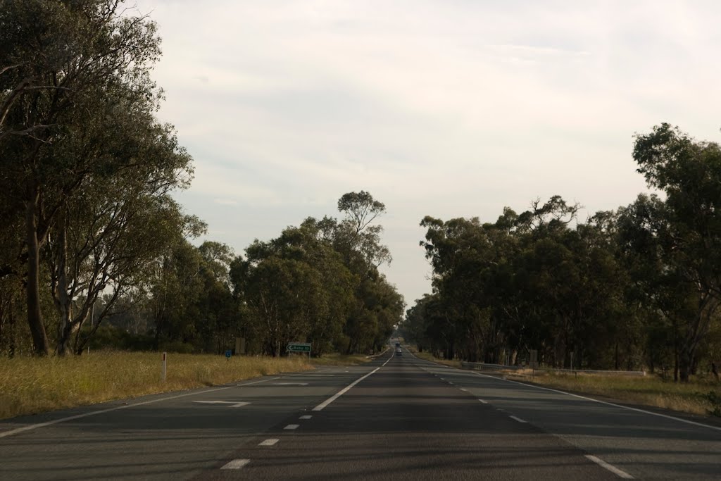 Baddaginnie VIC 3670, Australia by Maksym Kozlenko