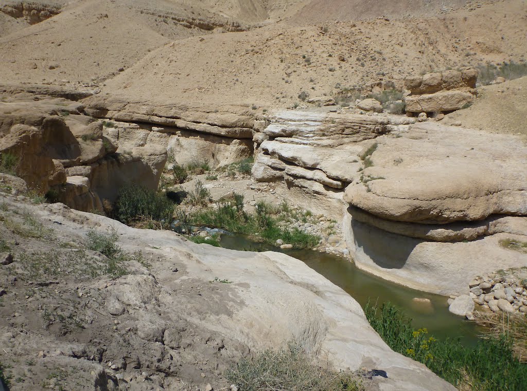 Upper Wadi Hasa 2012 by Wolfgang Streicher (…