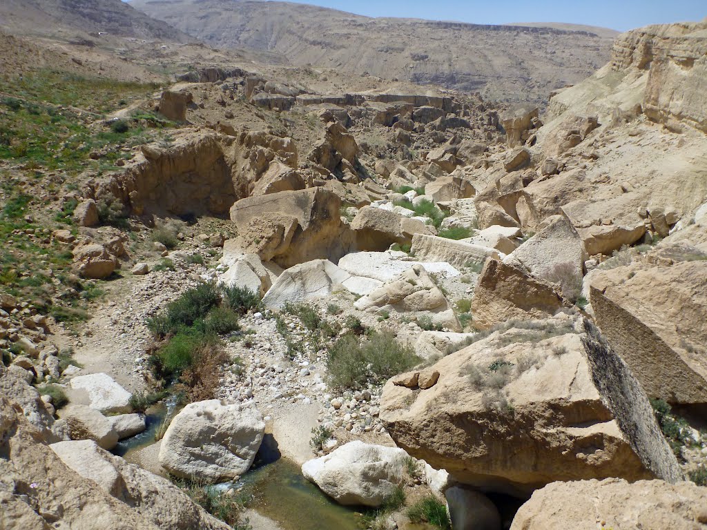 Upper Wadi Hasa 2012 by Wolfgang Streicher (…