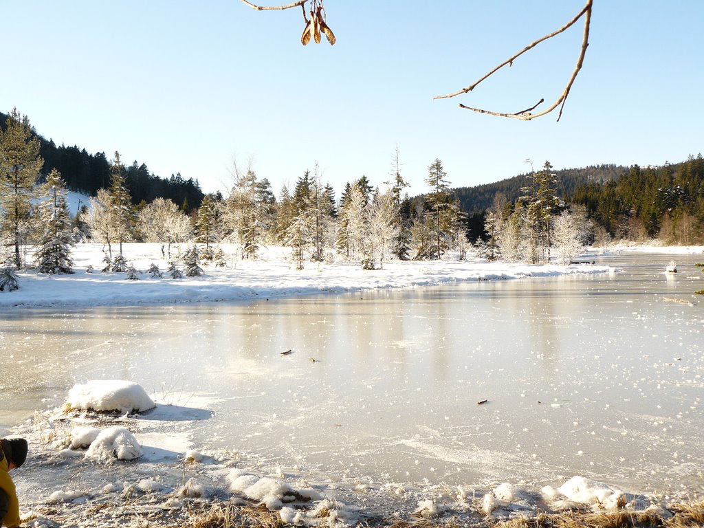 Lac de Lispach en hiver by jygells