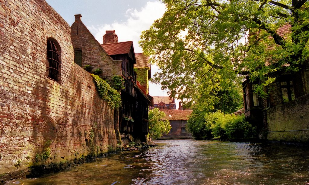 Por los canales de Brujas1 by gargared