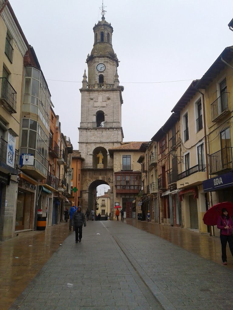 Torre del Reloj-Toro (Zamora)h2go by hhgarnica