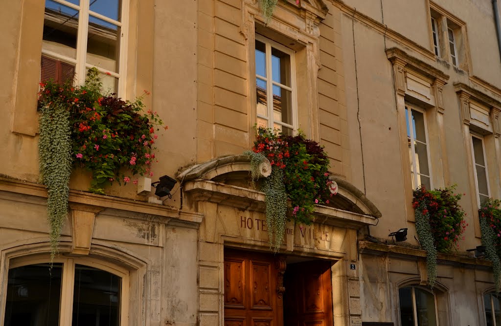 La Côte Saint André - Hôtel de Ville (Isère) by Naru Kenji