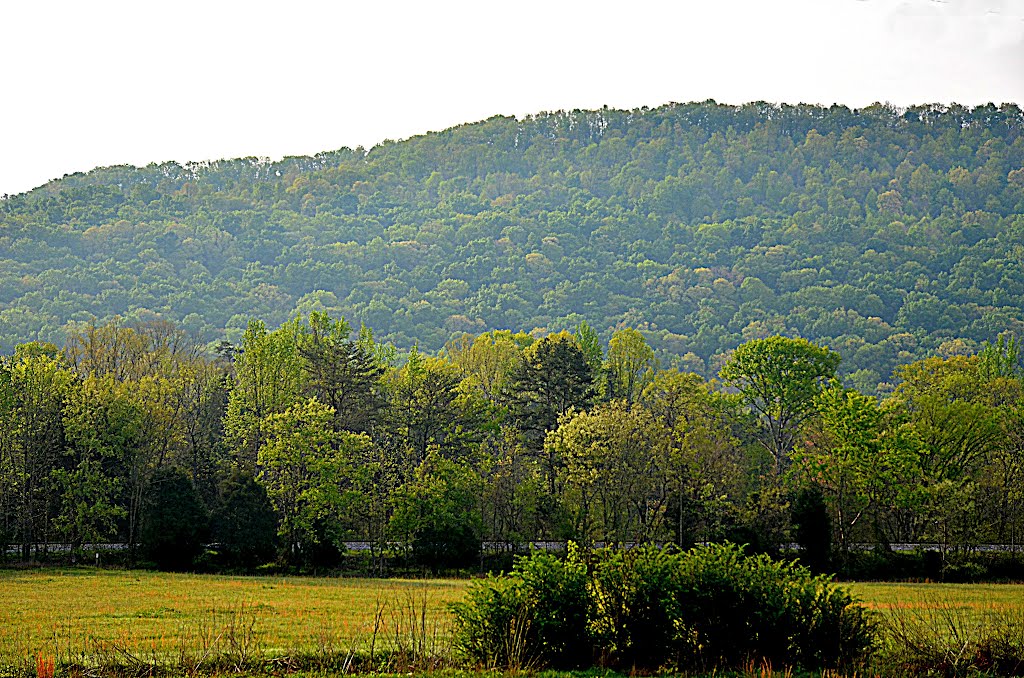 Rural DeKalb County by wmr36104