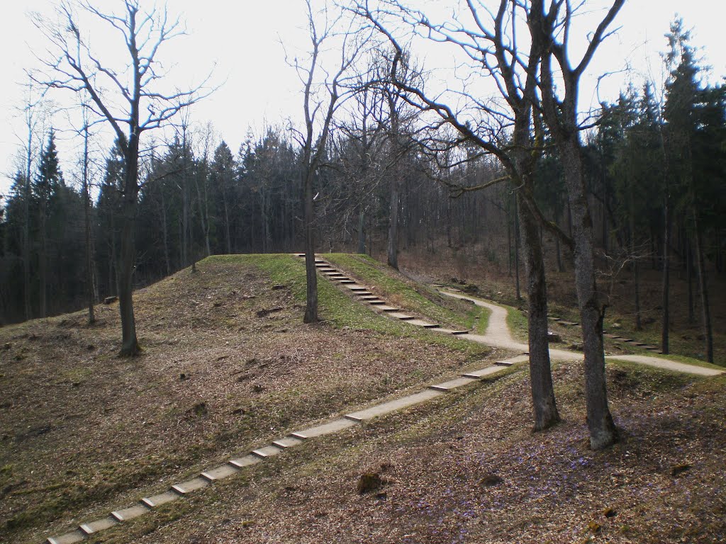 Rokantiškių pilies kalno viršuje 4 - On the top of Rokantiškės castle mound by Gintarele