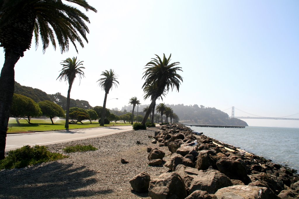 San Francisco ; Treasure Island by Phil Nieto