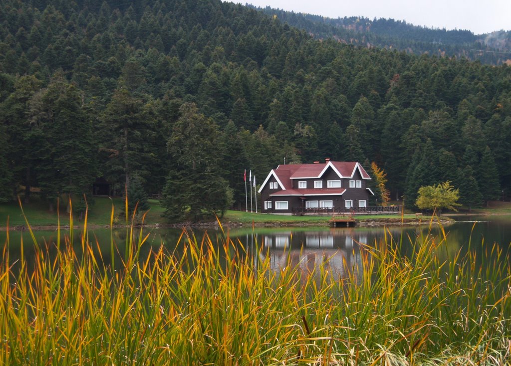 GÖLCÜK BOLU PURKİNJE by eu.purkinje